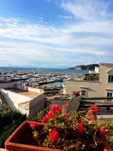 a view of a harbor with boats in the water at Casa Marina in Forio d'Ischia