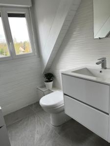 La salle de bains blanche est pourvue de toilettes et d'un lavabo. dans l'établissement Luxury at Barbizon, à Barbizon