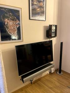 TV a/nebo společenská místnost v ubytování Studio ROCK - self check-in