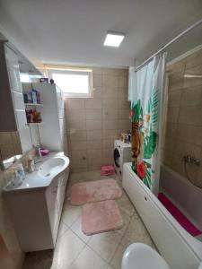 a bathroom with a sink and a toilet and a shower at APARTMAN PETRA Lux in Plužine