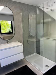 een badkamer met een douche, een wastafel en een spiegel bij Appartement Parkzicht in Geel