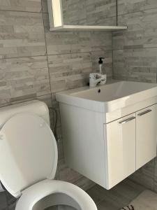 a white bathroom with a toilet and a sink at Apartments Linic in Nin +27 photos