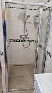 um chuveiro com uma porta de vidro na casa de banho em Apartmán na statku 7 em Námes nad Oslavou