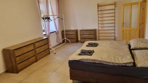 1 dormitorio con 1 cama y vestidor en Apartmán na statku 7 en Náměšť nad Oslavou