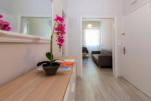 a living room with a table with a plant on it at H&G Old Town Apartment in Corfu