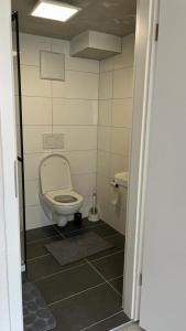 a small bathroom with a toilet and a sink at Monteurzimmer Ringingen in Erbach