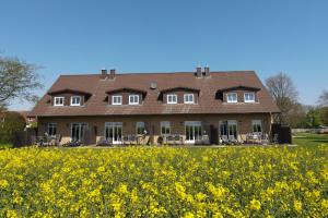 una casa grande con un campo de flores amarillas en Fehmarnhaus 4, en Fehmarn