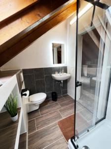 a bathroom with a shower and a toilet and a sink at Haus Uhlennest in Ühlingen-Birkendorf