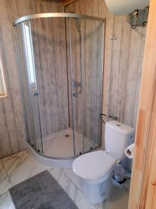 W łazience znajduje się prysznic, toaleta i umywalka. w obiekcie Domek Na Przełęczy w mieście Wierzbanowa