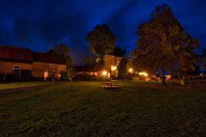 un parco notturno con un tavolo da picnic nell'erba di Teichhauswohnung a Fehmarn