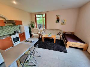 a kitchen and a living room with a couch and a table at Cozy Apartment Magnolia in Ventspils