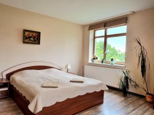 un dormitorio con una cama y una ventana en Cozy Apartment Magnolia, en Ventspils