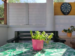 Fotografie z fotogalerie ubytování Apartments Helena v destinaci Zadar