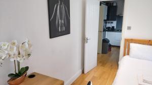 London Anayah apartments في لندن: غرفة معيشة مع أريكة وطاولة مع نبات