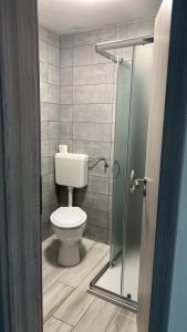 a bathroom with a toilet and a glass shower at Apartments Linic in Nin