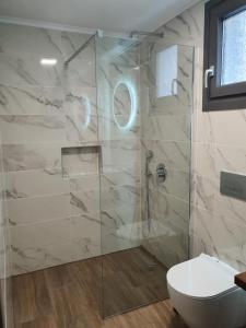a bathroom with a glass shower with a toilet at Island View Apartments in Moúdhros +35 photos
