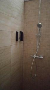 a shower with a shower head in a bathroom at Apartamento Barrio Alto in Sanlúcar de Barrameda