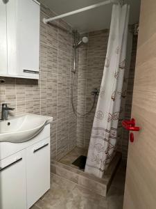 a bathroom with a shower with a sink and a shower curtain at Apartments Linic in Nin