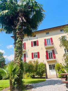 a palm tree in front of a building with red shutters at Albola Suite Holiday Apartments in Riva del Garda