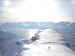 Loodusmaastik puhkemajakeste lähedal