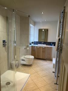 a bathroom with a toilet and a shower and a sink at The Beeches - Chatsworth Apartment No 3 - Sleeps 2 in Baslow
