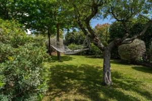 uma rede pendurada numa árvore num quintal em Trullo La Vecchia Elce with garden em Locorotondo