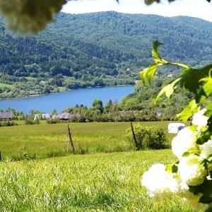 uma vista para um lago a partir de um campo com flores em ORLIK - pokoje gościnne em Uście Gorlickie