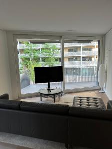 チューリッヒにあるWohnung im Trendquartier zentral - 24-7 check-in with keyboxのソファと薄型テレビのあるリビングルーム
