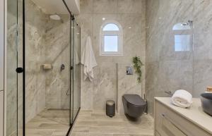Diogia Luxury Apartment في Vanáton: حمام مع دش ومرحاض ومغسلة