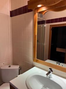 a bathroom with a sink and a toilet and a mirror at La Tania La Saboia sleep 8 private Sauna lounge dining 2 bathrooms kitchen 2 balconies ski in out in La Tania +34 photos