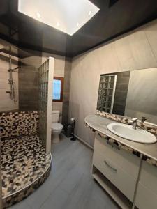a bathroom with a sink and a shower and a toilet at Appartement Le Secret Spa billard sensualité in Espondeilhan