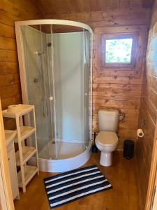 a small bathroom with a shower and a toilet at Domki Radków in Radków