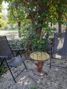 Zahrada ubytování CASA DI PATOURIA , stenies Andros