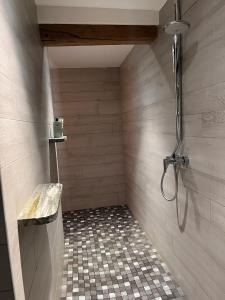 a shower in a bathroom with a tiled floor at Le Loft Ancien Haras de la Tour in Lamothe-Landerron