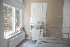 ein Schlafzimmer mit einem Waschbecken, einem Bett und einem Fenster in der Unterkunft Cosy forest hideout @ Veluwe in Putten