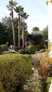 a garden with palm trees and bushes and shrubs at LE VALLON DU ROY in Sanary-sur-Mer