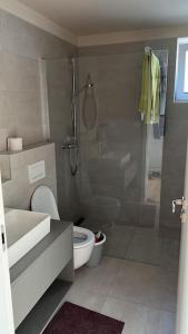 La salle de bains est pourvue d'une douche, de toilettes et d'un lavabo. dans l'établissement Slunečný dům s klimatizací s výhledem na Pálavu, à Brod nad Dyjí