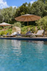 una piscina con sillas y sombrillas junto al agua en Terre de Maquis, maison d'hôtes vue mer Corse, en Sari-dʼOrcino