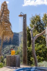 un baño de aves con un vaso de zumo de naranja en Terre de Maquis, maison d'hôtes vue mer Corse en Sari-dʼOrcino