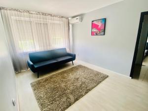 a living room with a blue chair and a rug at Cozy Central Place in Brăila