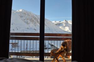 蒂涅兰蕾酒店－Tignes 2100的客房享有雪覆盖的山脉美景。