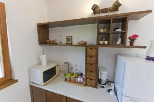 a kitchen with a counter with a microwave and a refrigerator at Apartment Ina in Rogač