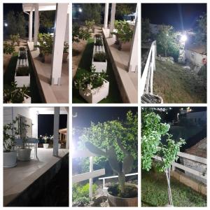 a collage of photos of a garden at night at La Casa al Mare in Peschici