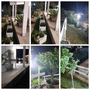 a collage of photos of a garden at night at La Casa al Mare in Peschici +43 photos
