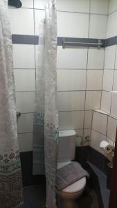 a bathroom with a toilet and a shower curtain at Αυθεντικό πετρινο στην Ναύπακτο in Nafpaktos