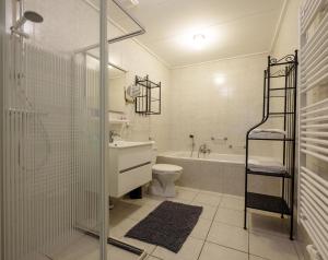een badkamer met een douche, een toilet en een wastafel bij Villa Juttershof in Bergen