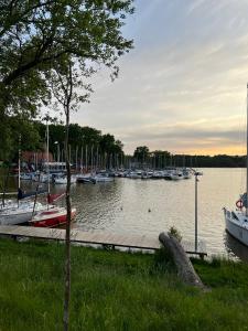 a marina with many boats in the water at Apartament nad Iławką in Iława