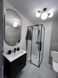 La salle de bains est pourvue d'une douche, d'un lavabo et d'un miroir. dans l'établissement Apartament nad Iławką, à Iława
