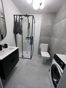 La salle de bains est pourvue d'une douche, de toilettes et d'un lavabo. dans l'établissement Apartament nad Iławką, à Iława