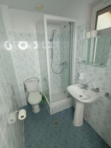 ein Bad mit einer Dusche, einem WC und einem Waschbecken in der Unterkunft Lipowy Przylądek- Domek 26 